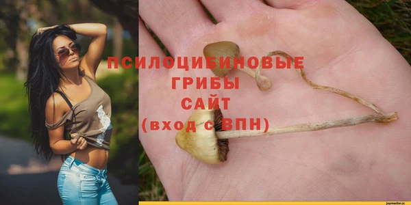 героин Абаза