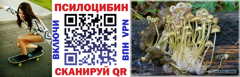 Галлюциногенные грибы Cubensis  omg   Полтавская 