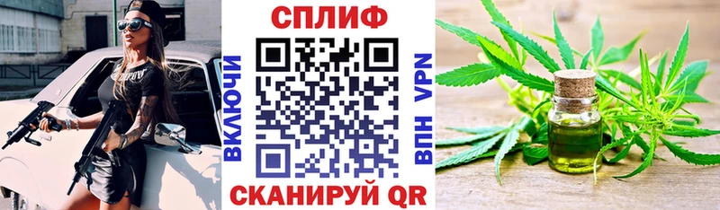 Бошки Шишки гибрид  Полтавская 